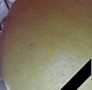 Meet your Posher, Hung